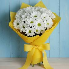 Букет цветов из:  Хризантемы в Кош-Агач