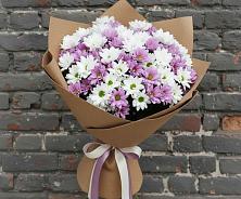 Букет цветов из:  Хризантемы в Кош-Агач