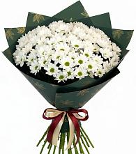 Букет цветов из:  Хризантемы в Кош-Агач