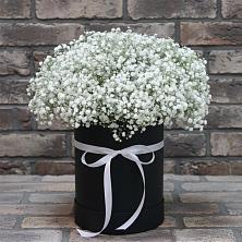 Цветочная композиция из Гипсофила в шляпной коробке в Кош-Агач