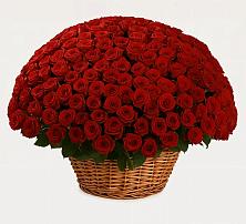 Премиум букет из: Розы в Кош-Агач