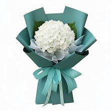 Букет цветов из:  Гортензия #REPLACE_PRED# Кош-Агач
